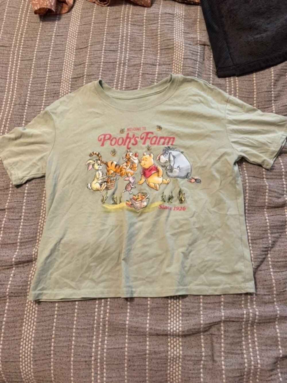 Pooh Shirt
